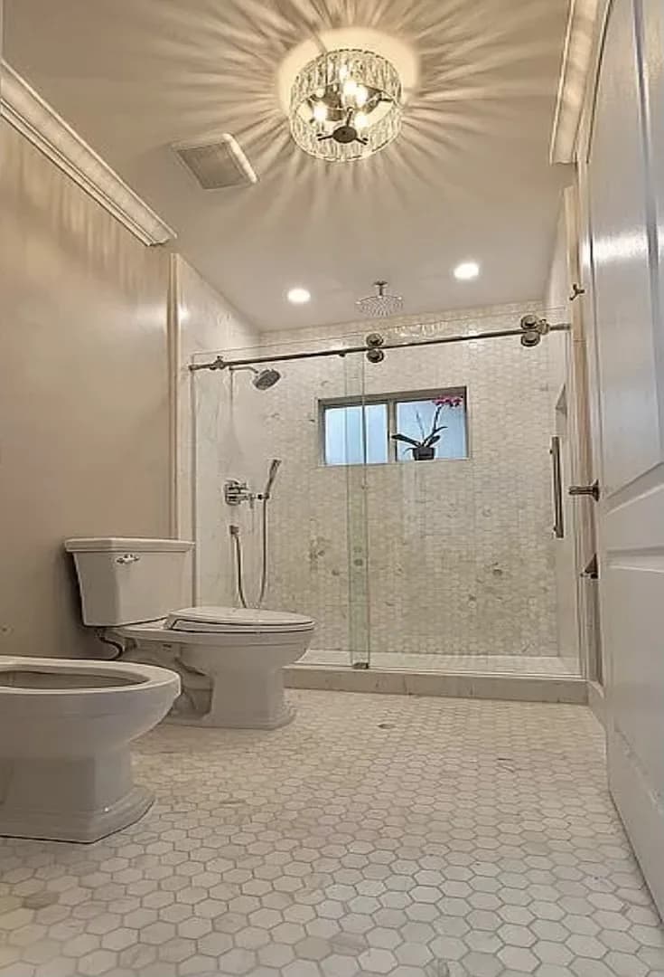 Modern bath with hex tile, frameless glass shower, rain head, toilet and bidet